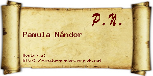 Pamula Nándor névjegykártya